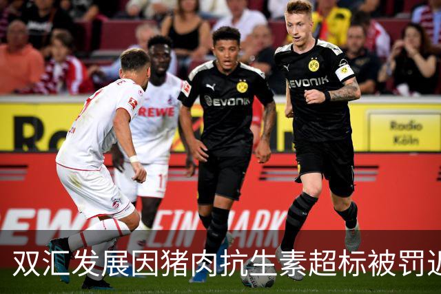 双汇发展因猪肉抗生素超标被罚近1.3亿，董事高管共受罚